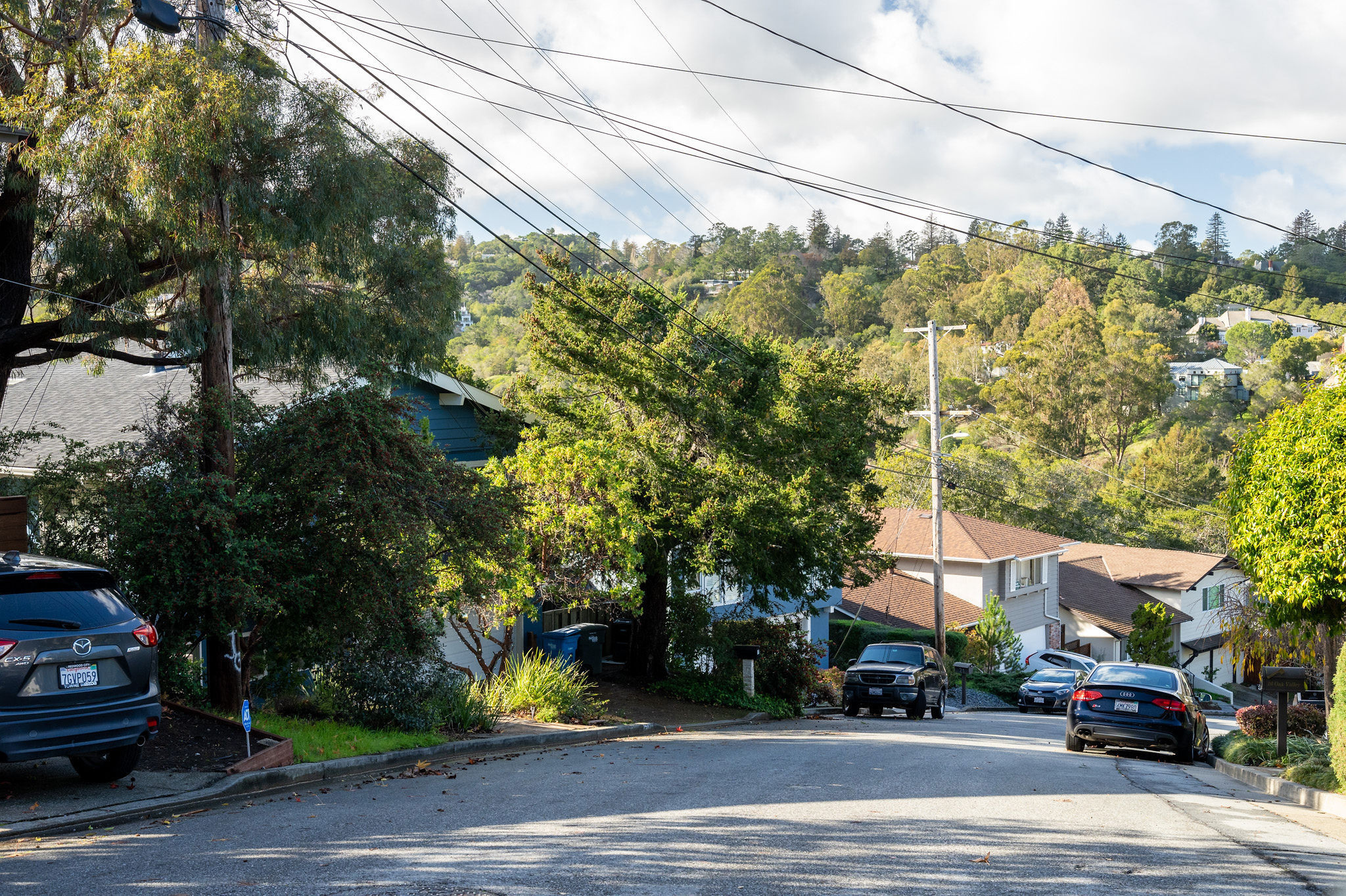 Baywood Knolls neighborhood hilltop view in San Mateo.
