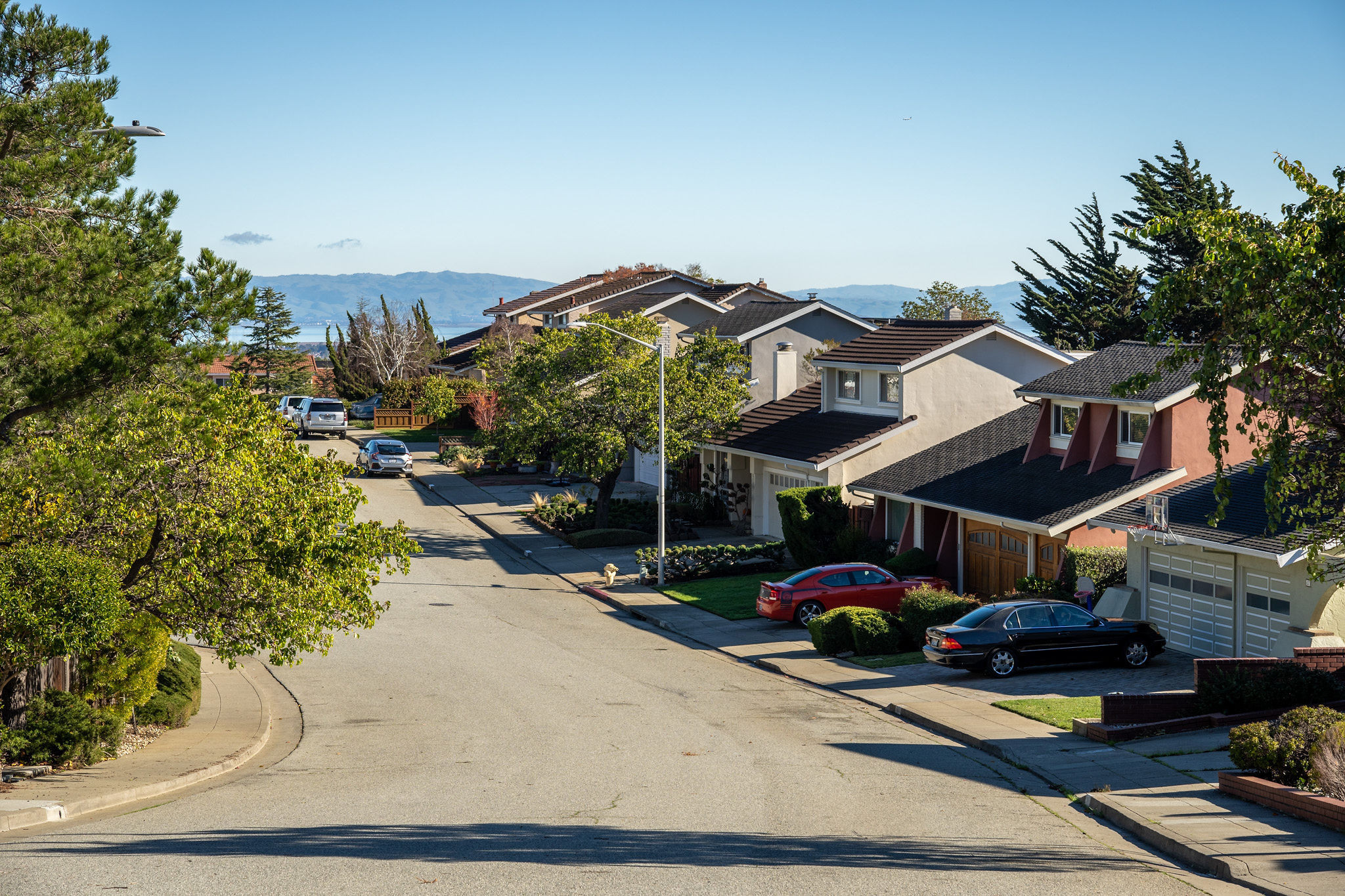 View of the houses within the neighborhood in San Mateo.