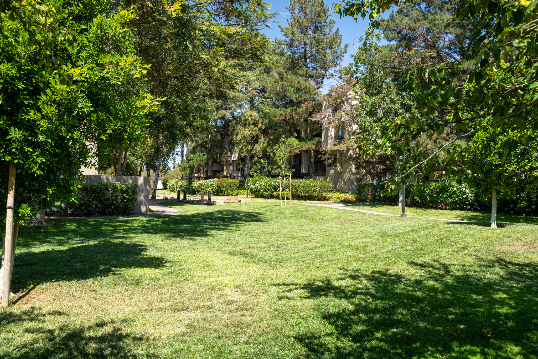 Grassy area at apartment complex in the Lauridale area in San Mateo