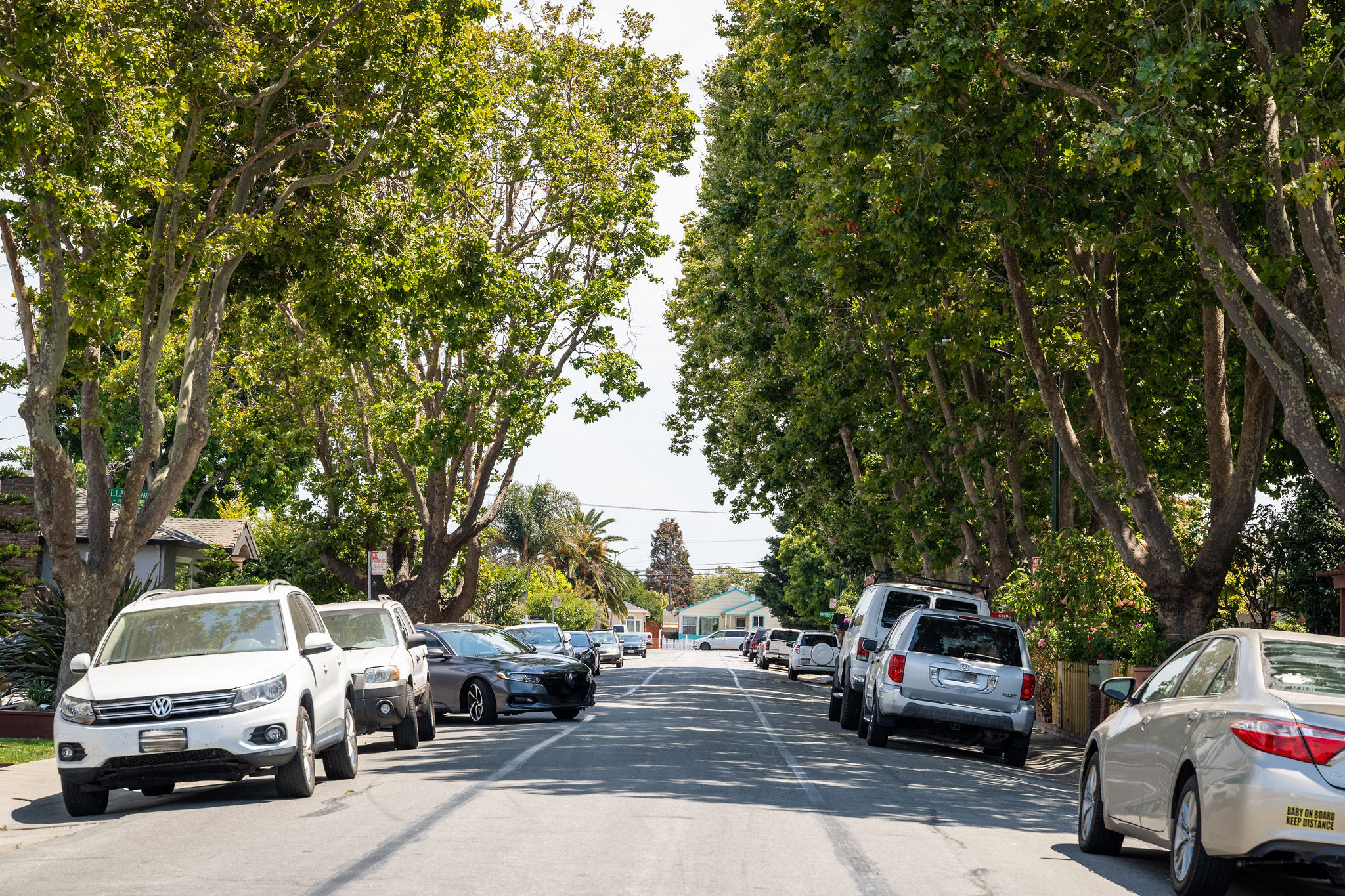 Wide angle street view with trees in the Shoreview area in San Mateo