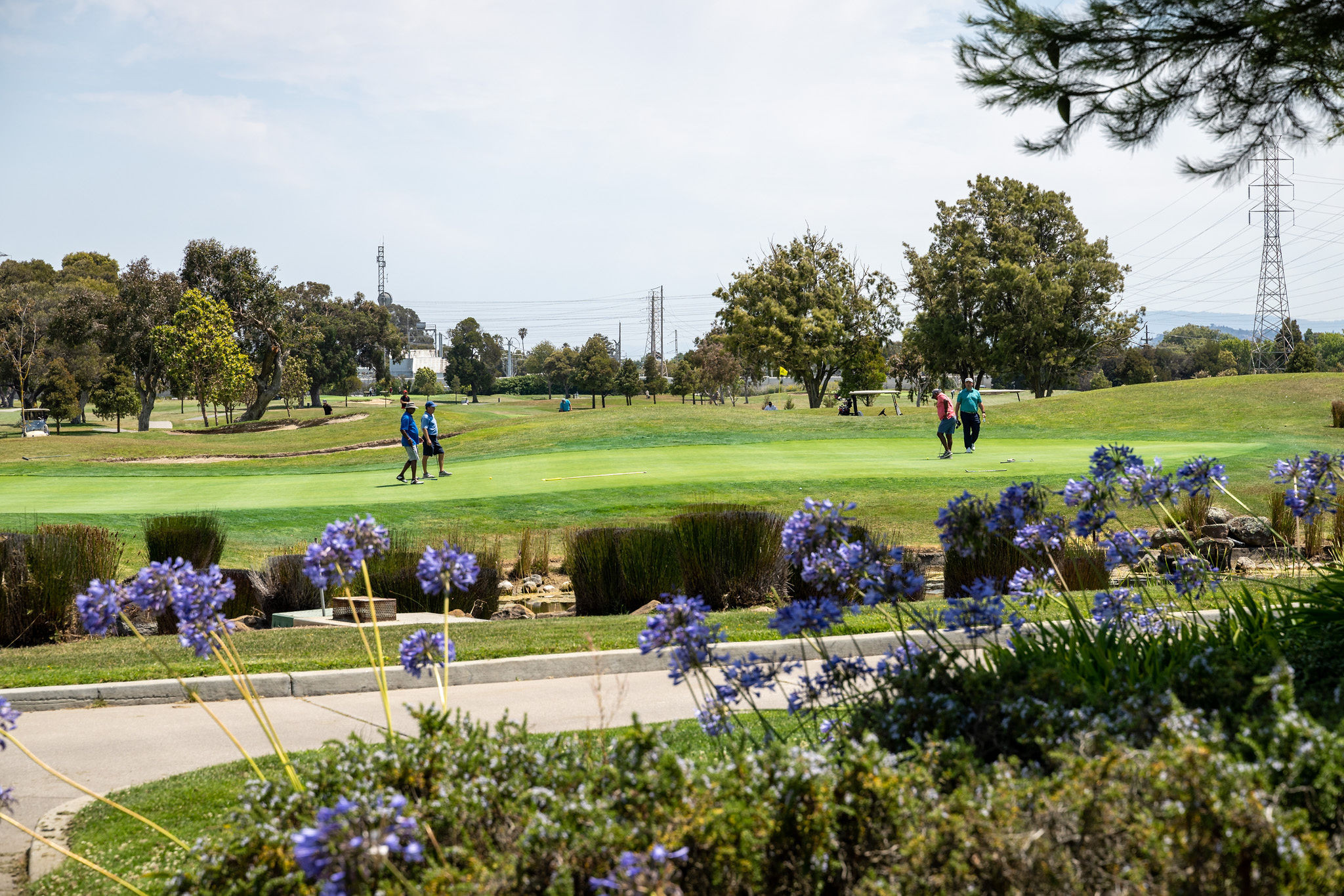 Golf course in the Shoreview area in San Mateo