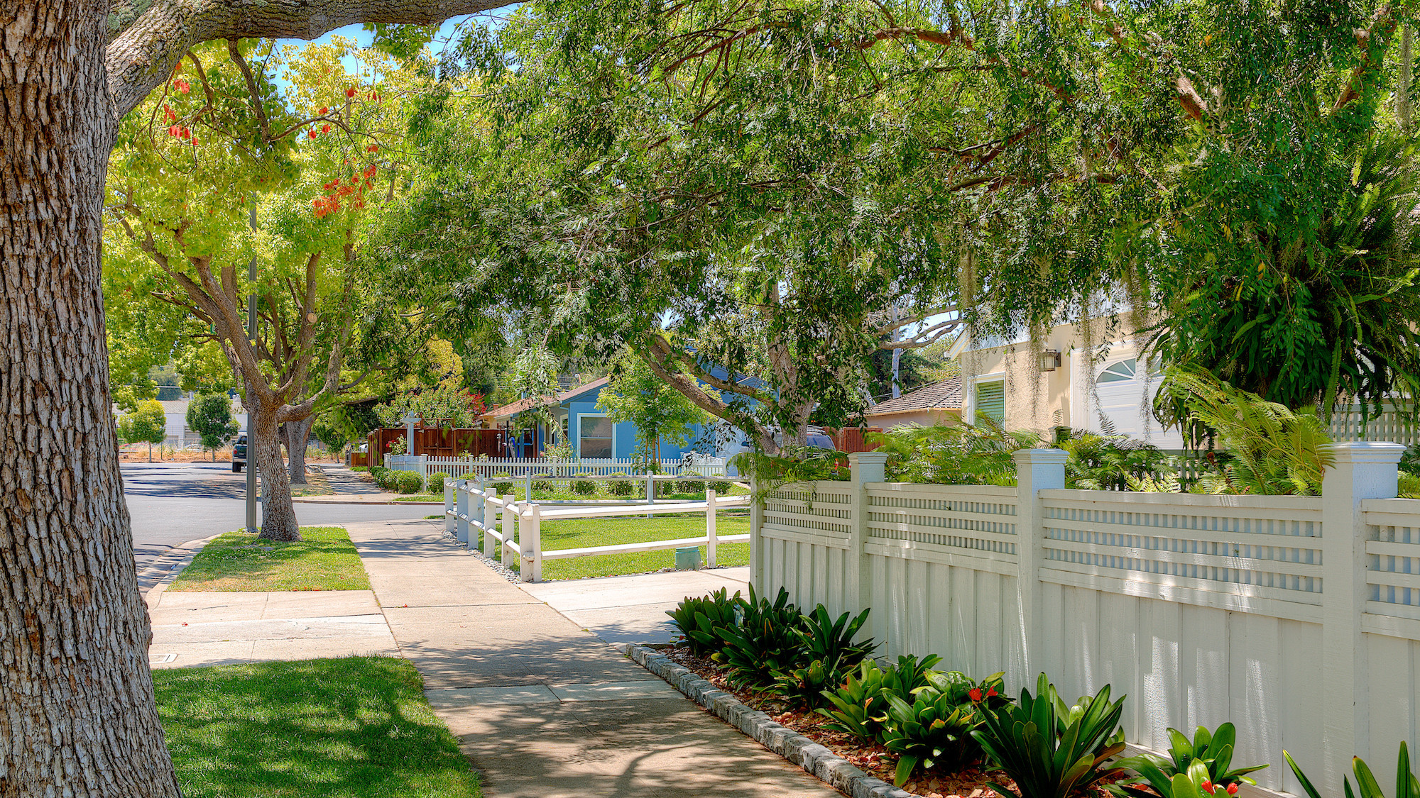 Sidewalk view and a white picket fence in the Lenolt area in Redwood City