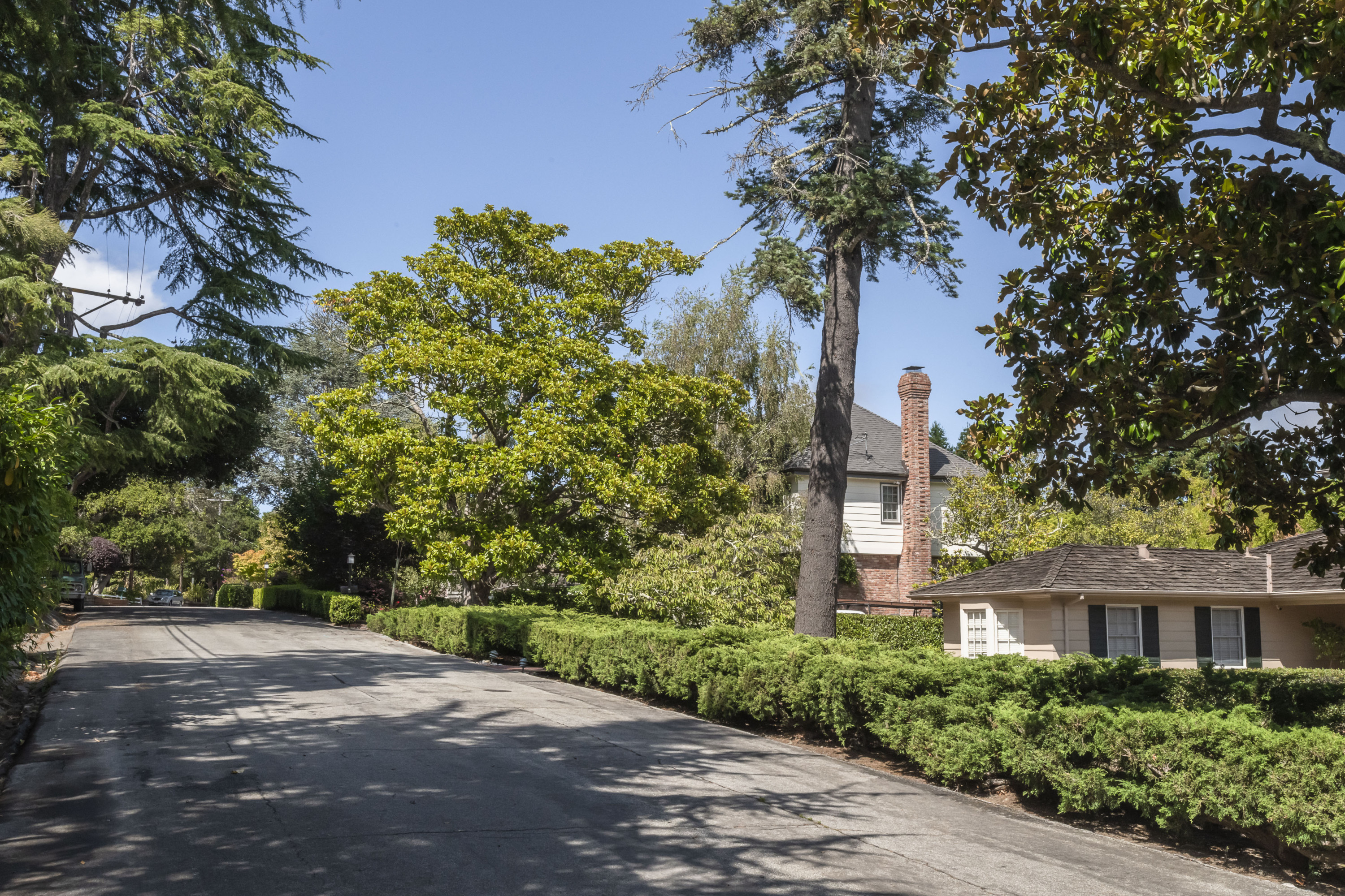 Burlingame Hills home with a panel sidings and a tall brick chimney in Burlingame.