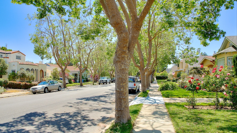 Tree lined sidewalk in San Mateo.
