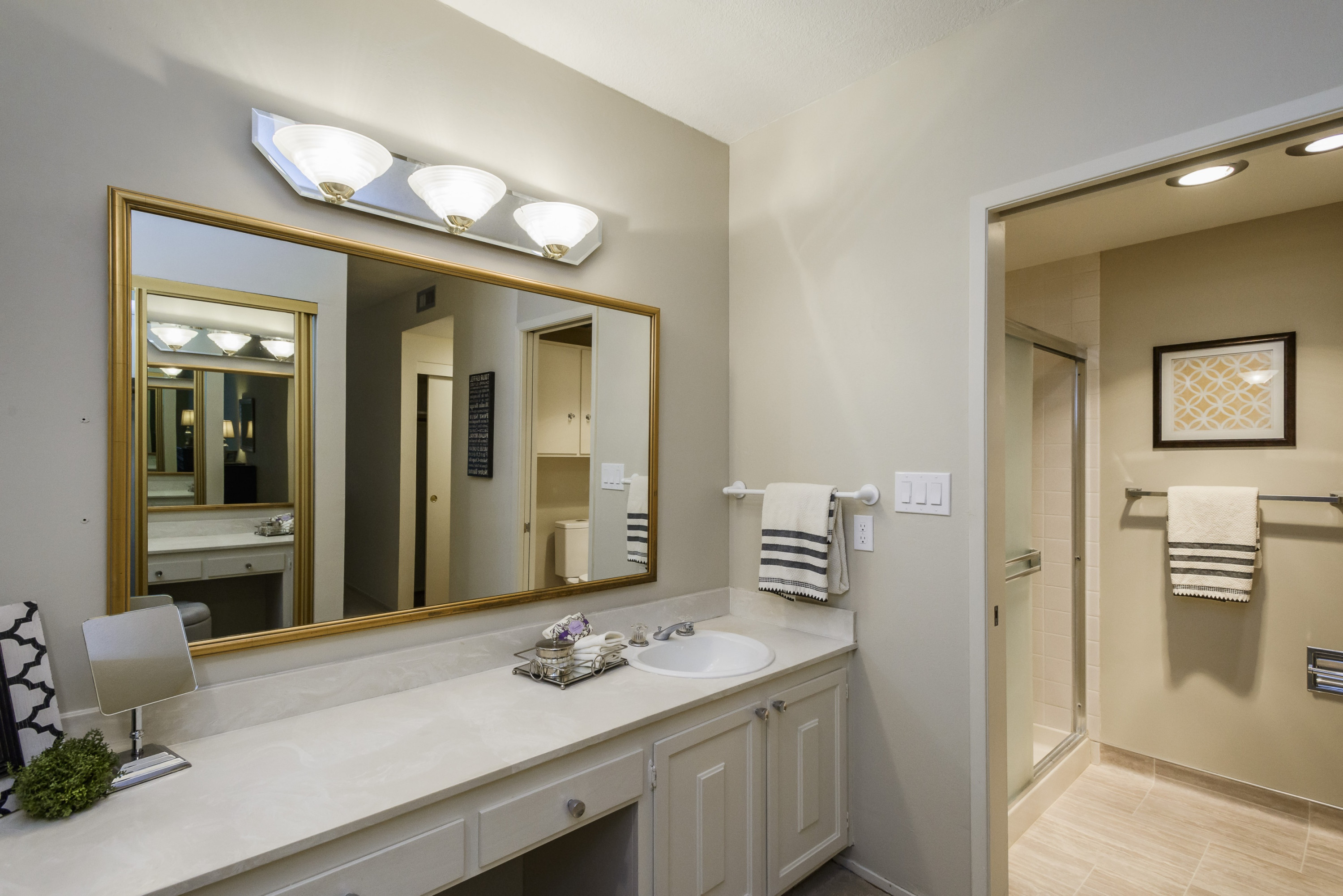 225 Virginia Avenue #3D Bathroom Mirror in Baywood Neighborhood in San Mateo.