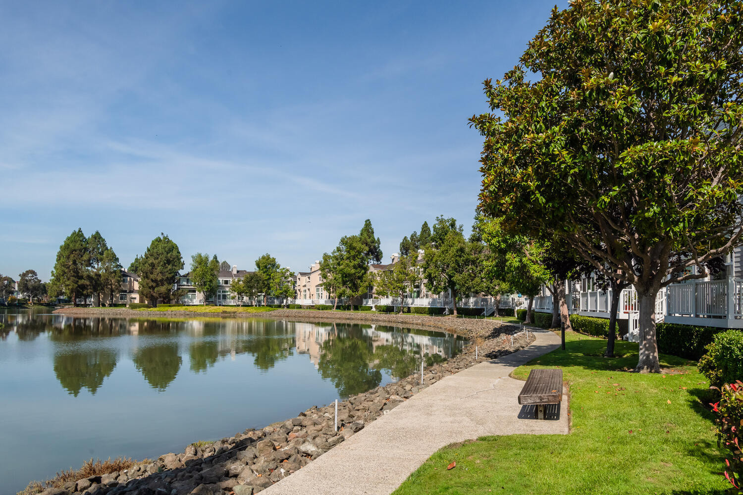 Park bench in Lighthouse Cove area in Redwood Shores.