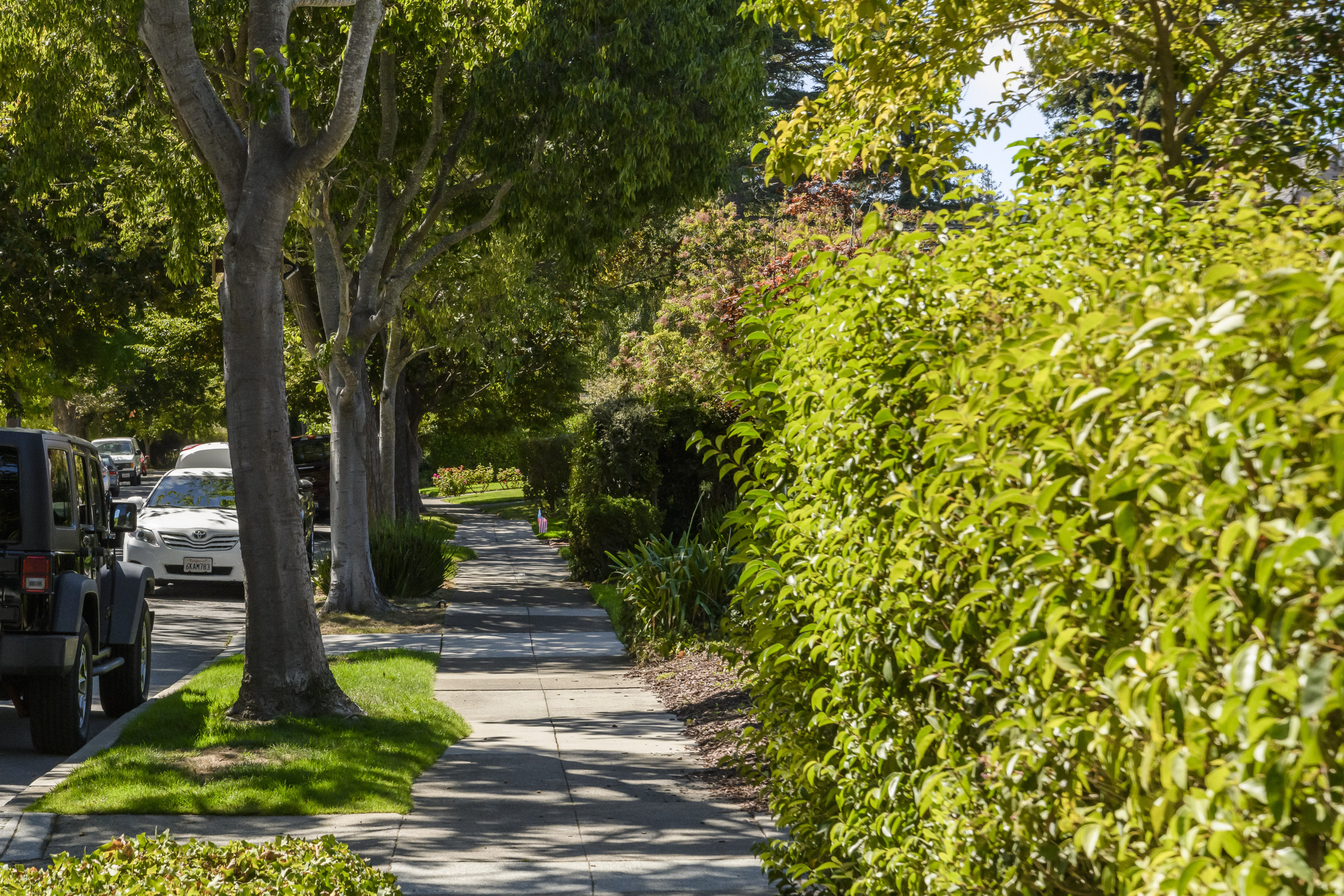 Burlingame Village walkway with thick foliage as front yard borders in Burlingame.