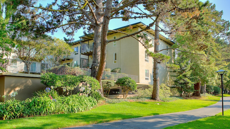 Condo with walking path and trees in San Mateo